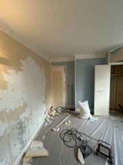 Mur en cours d'enduit avant peinture, escabeau à côté - chantier Yvelines